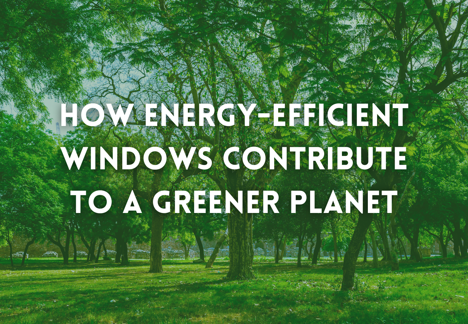 How Energy-Efficient Windows Contribute to a Greener Planet